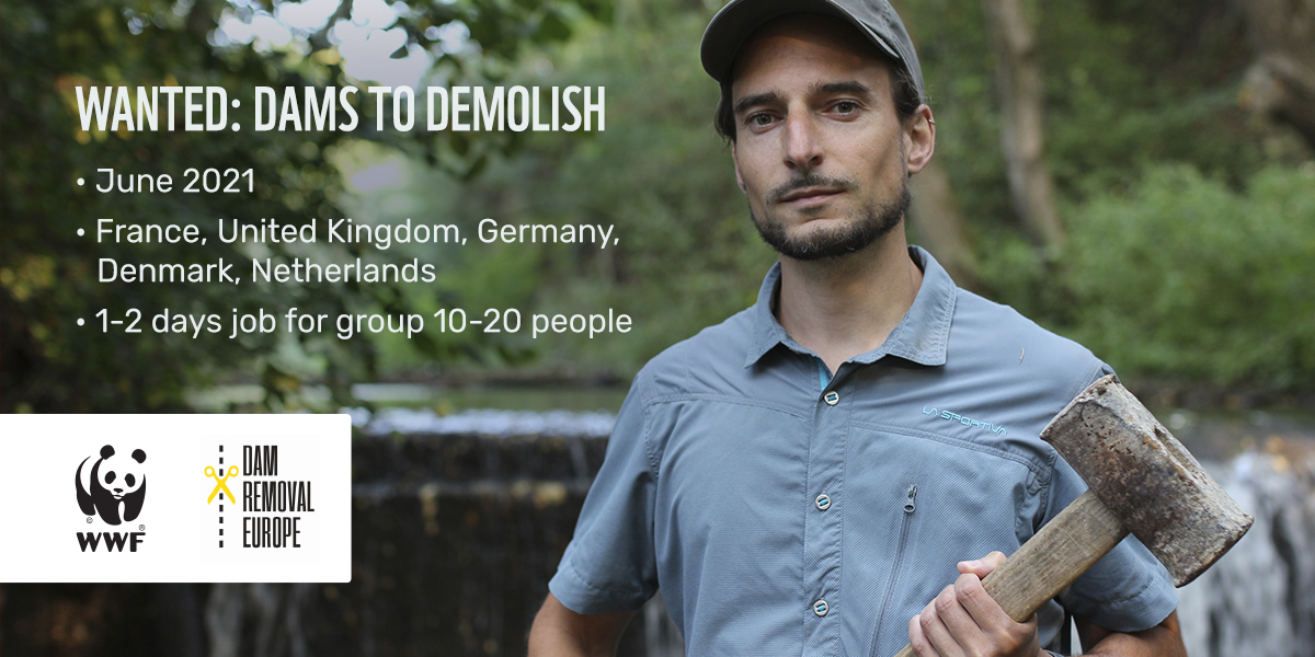 RecFishingEP's tweet photo. Do you know a barrier that should be removed in England, Belgium, France, Germany or the Netherlands? If so, the removal can be fully funded by #DamRemoval Europe!
https://t.co/CPjibqH6wA #Dams @fishmigration #restoringrivers @WWFEuropeRivers https://t.co/Yer0hCGe6d