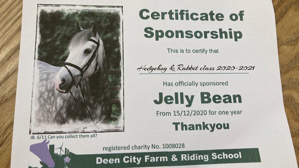 Reception_BG's tweet photo. 1/2 This year instead of individual Christmas gifts for the children we  sponsored JB the horse from @deencityfarm. Today we received our sponsorship pack in the post. https://t.co/k7eld54UF9