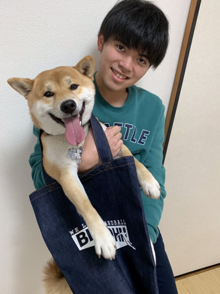 YanoSeven's tweet image. グッドイブニーング サイキー！
今日も今日とて #岡山デニムトート です
柴犬なら斜め掛けもこの通り✨✨

こんなオシャレなジャパンデニムを普段使いするのがカッコいんだよねぇー♪

あ、ウチのワンコにも♡と思ったそこのアナタ🐕

@kiyo3sugimoto のTwitterにコメントお願いしまーす。
#今日の令和