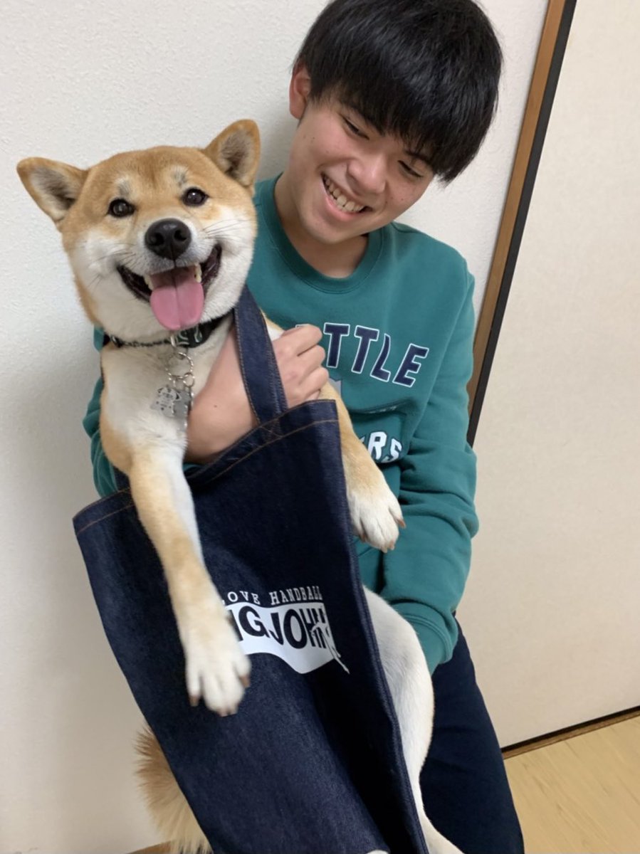 YanoSeven's tweet image. グッドイブニーング サイキー！
今日も今日とて #岡山デニムトート です
柴犬なら斜め掛けもこの通り✨✨

こんなオシャレなジャパンデニムを普段使いするのがカッコいんだよねぇー♪

あ、ウチのワンコにも♡と思ったそこのアナタ🐕

@kiyo3sugimoto のTwitterにコメントお願いしまーす。
#今日の令和