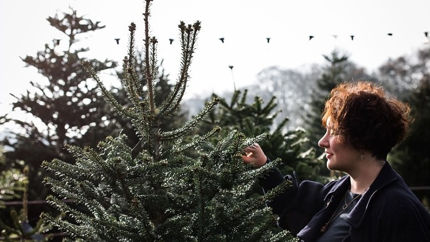 BBCWomansHour's tweet photo. Kate Young @bakingfiction talks about food, edible gifts and Christmas literature. She will also show us how to #cooktheperfect Jansson’s Temptation to celebrate Christmas Eve! https://t.co/4S8fKijBzi https://t.co/gp7CikwdMI
