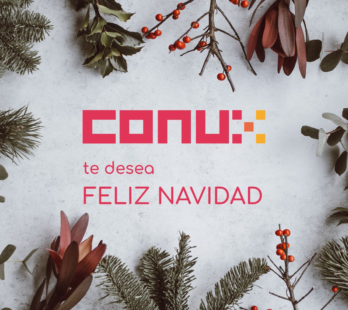 conux_es's tweet photo. ¡Deseamos que pasen una Nochebuena agradable y feliz de parte de todo el equipo de #Conux! ¡Felices fiestas! https://t.co/Qkns0VxgvG