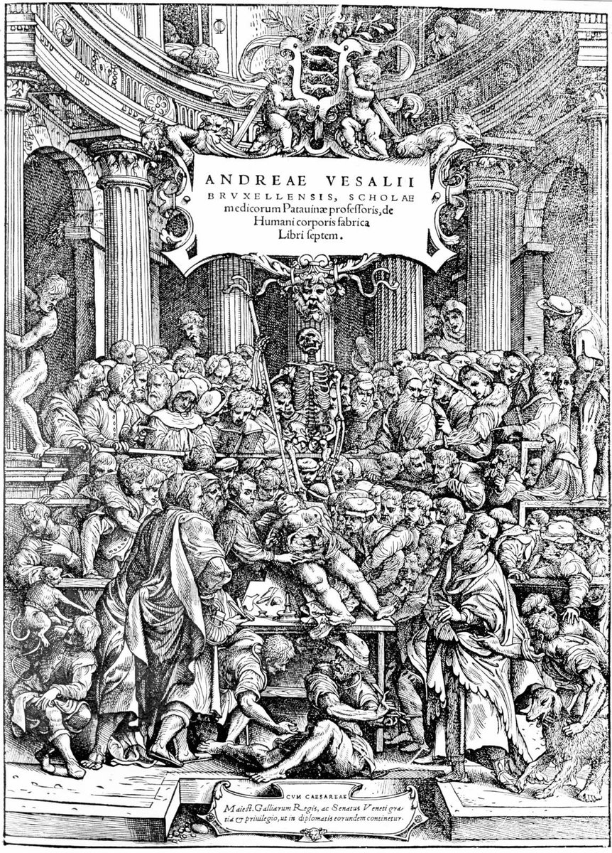 First of all is the cover of Vesalius’ 1542 De Humani Corporis Fabrica. The man himself is at the centre dissecting a female body, with some of the big names of Ancient Greece beside him as a huge crowd watches. And there, bottom left, is our first canine observer.
