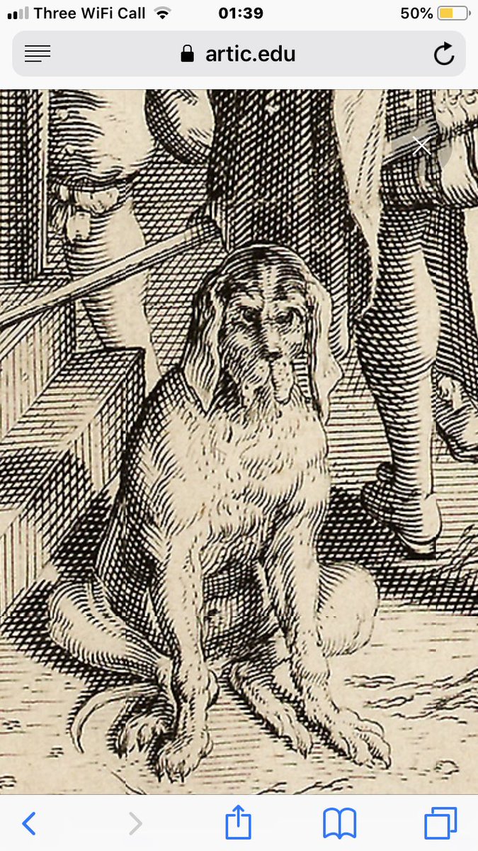 At the bottom left is this very serious hound...