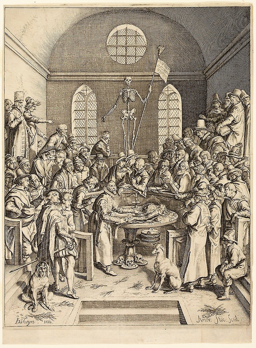 Next up is The Anatomical Lesson of Professor Pauw from 1615, an engraving by Andries Stock after Jacques de Gheyn II. Pauw was the first anatomy professor of Leiden University, and here we have two dogs!