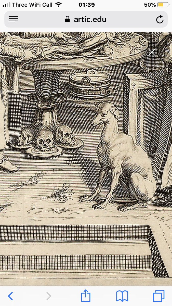 ...while at the right is this greyhound-type dog nervously contemplating some skulls