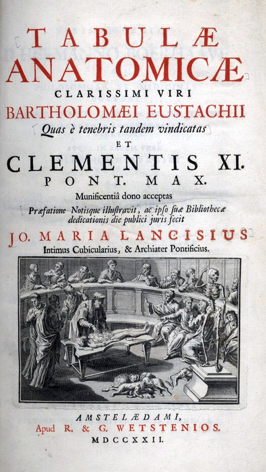 This is the cover of Bartolomeo Eustachi’s Tabulae Anatomicae.  Eustachi was a 16thC anatomist who gave his name to the Eustachian tube of the ear. The engraved plates were completed in 1552, but they were only published in 1714 after their rediscovery in the Vatican library