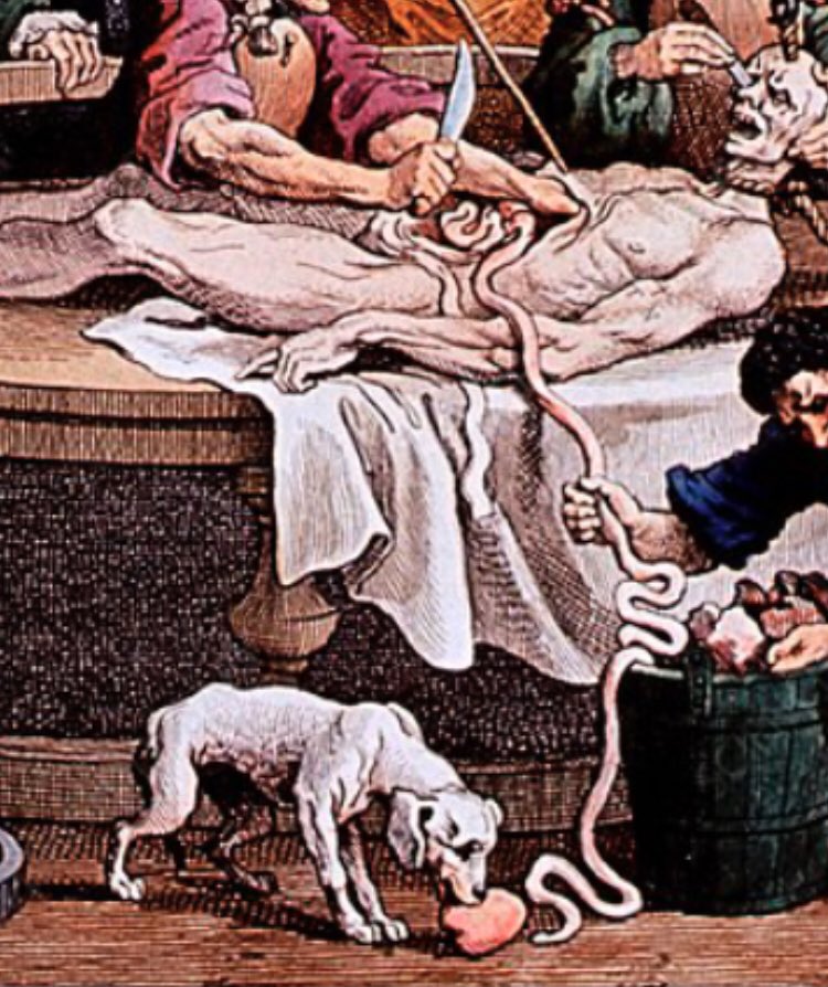 Here’s a close up of a colourised version where we can see what looks like a very hungry looking dog almost seeming to smile at this bounty received. I wrote about this picture earlier in the year  https://thesewanderingbones.wordpress.com/2020/02/01/the-rewards-of-cruelty/