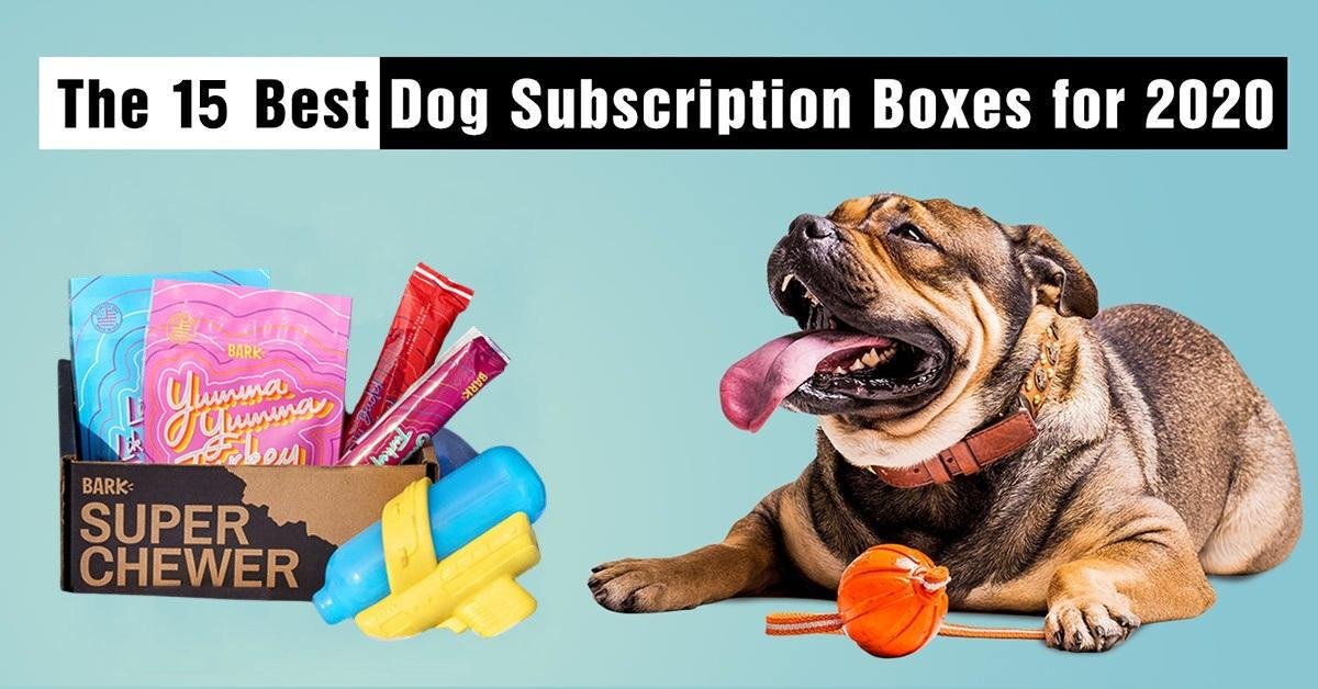 Competition: Petco's PupBox, Bullymake, RescueBox for dogs, and Chewy Goodybox. Cat Lady Box and KitNipBox for Cats. Fresh food delivery services like The Farmer's Dog, Nom Nom, PetPlate, Ollie, and Spot & Tango.