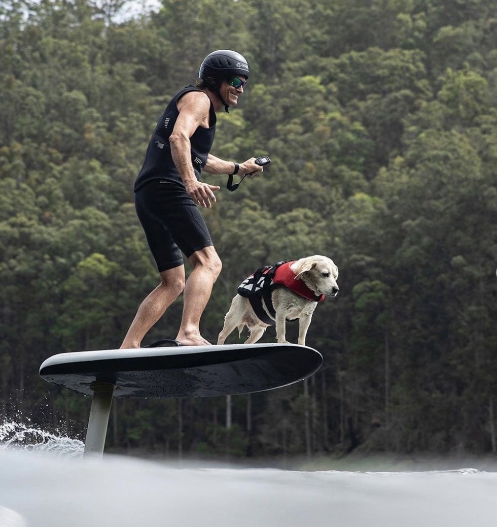 fliteboard's tweet photo. Manβs best friend, aboard manβs best toy.
#fliteboard #foildog #foilingdogs #efoil #findfreedom #takeflite #foiltheworld https://t.co/oBqB8ii08Q