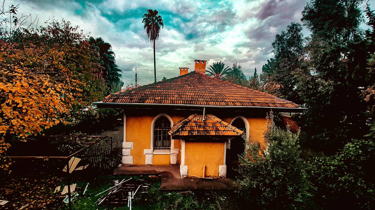 Kötü kader diye bir şey yoktur;
21. yüzyıl vardır.
Ve bu yüzyıl yavrucuğum;
Bir kelebeği bile intihar ettirebilir...🍂