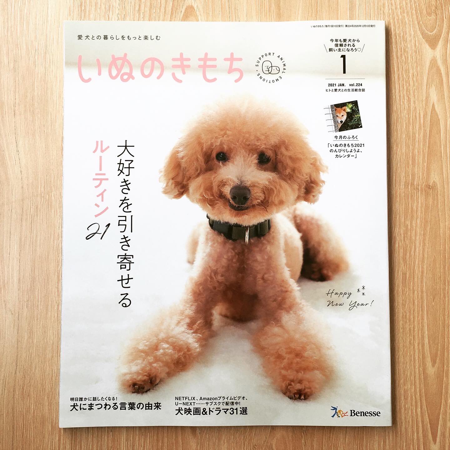 大崎メグミ 雑誌 いぬのきもち 1月号 ベネッセ の特集 おすすめ犬映画 ドラマ31選 の扉イラスト を描かせていただきました 私もいつかモフモフの犬抱っこしながら映画観たいぞ いぬのきもち 犬映画 犬ドラマ ゴールデンレトリバー イラスト