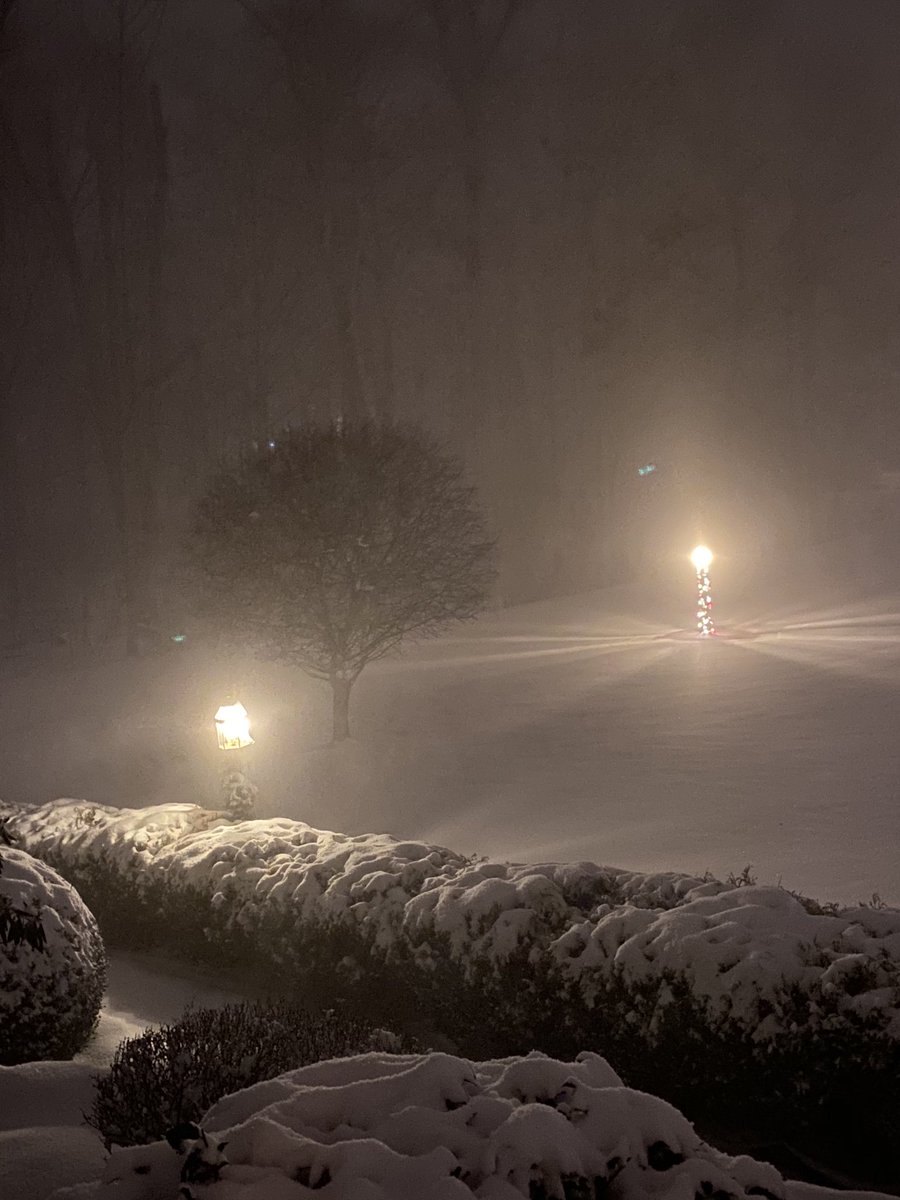 Peace and a little joy on a winter’s eve... in a tumultuous year. I’ll take it.