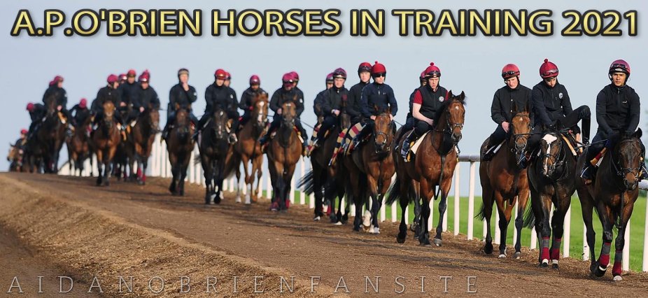 AIDANOBRIENFANSITE tweet media