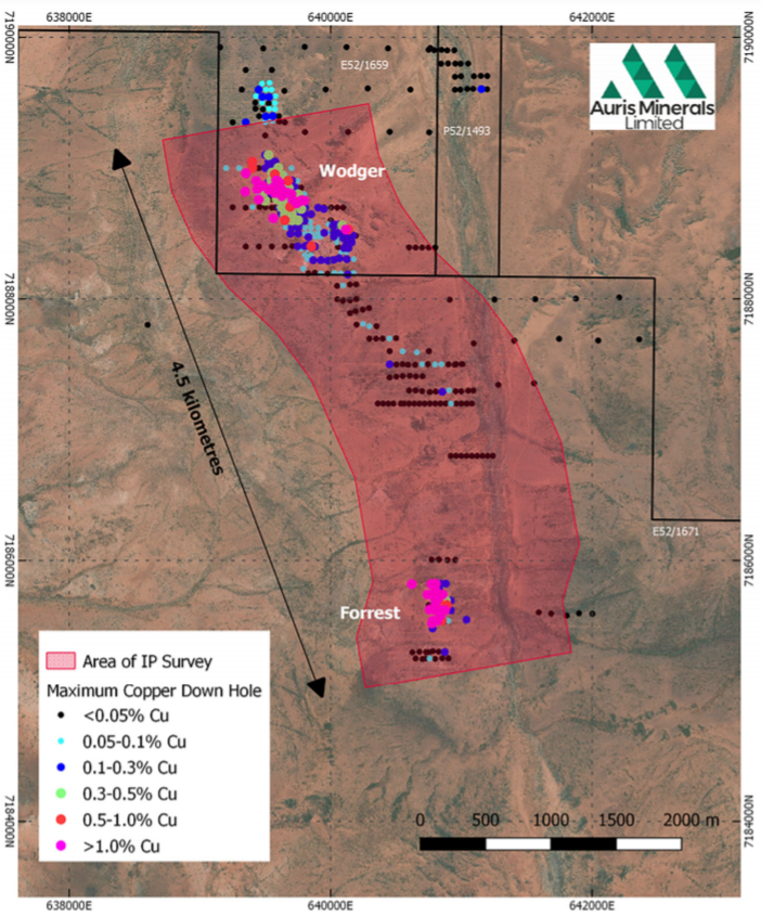 AurisMinerals's tweet photo. ICYMI - Progress Report: #ForrestProject
IP survey is evaluating approximately 4.5 kilometres of strike of an interpreted copper anomalous trend within the Forrest Project, encompassing both the Forrest and Wodger deposits. https://t.co/ua8RGQScz4
#gold #mining $AUR #ASX https://t.co/aPMXlWECSF