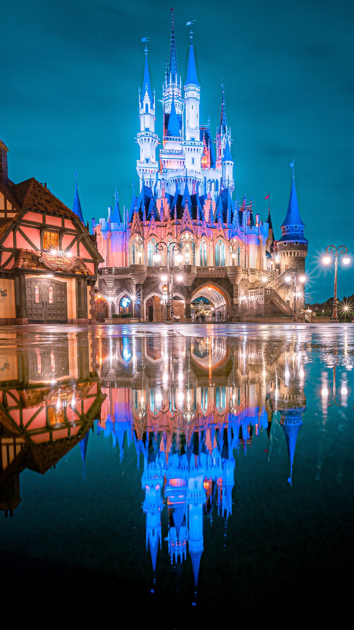 ちゃん 東京ディズニーリゾート Tokyo Disney Resort 夜景バージョンの映え写真 ヒルナンデス T Co Omrw9gq21n Twitter
