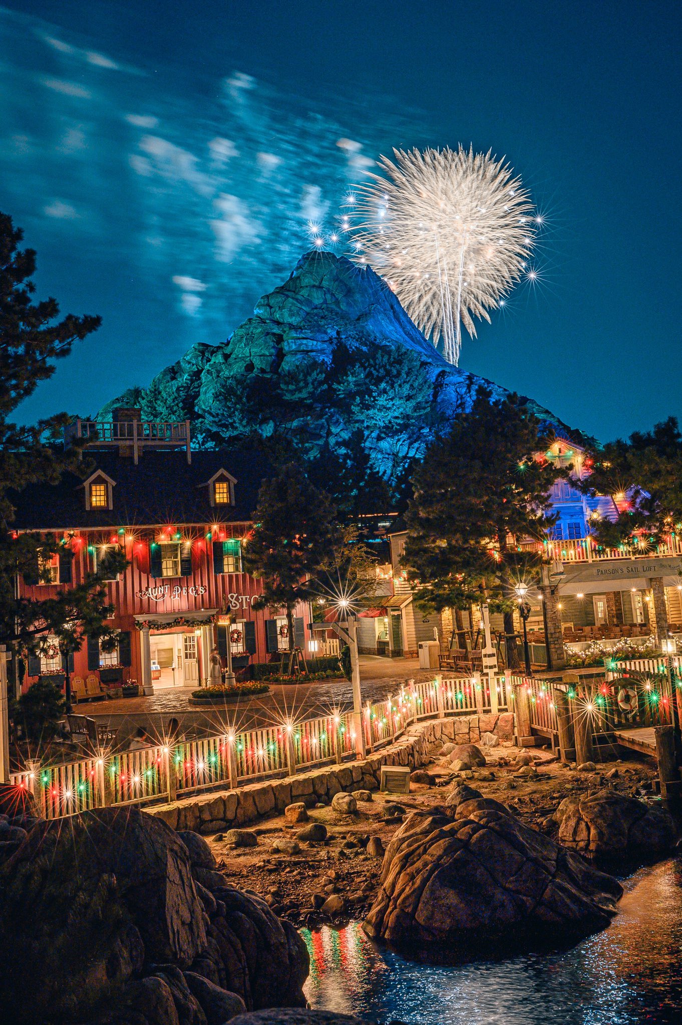 ちゃん 東京ディズニーリゾート Tokyo Disney Resort 夜景バージョンの映え写真 ヒルナンデス ちゃん 東京ディズニーリゾート Tokyo Disney Resort 夜景バージョンの映え写真 ヒルナンデス