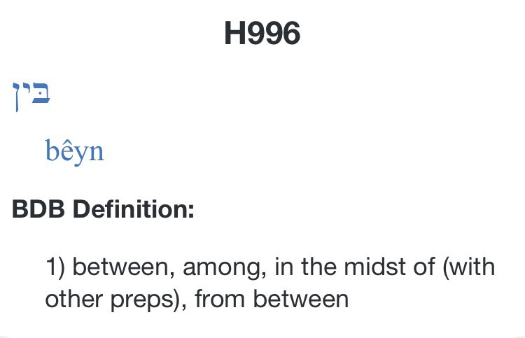 Leviticus 10:10 starts with stating there should be a distinct separation or divide, badal beyn in the Hebrew, between the states of Holy and Common, and Unclean and Clean. These states of being are complete opposites