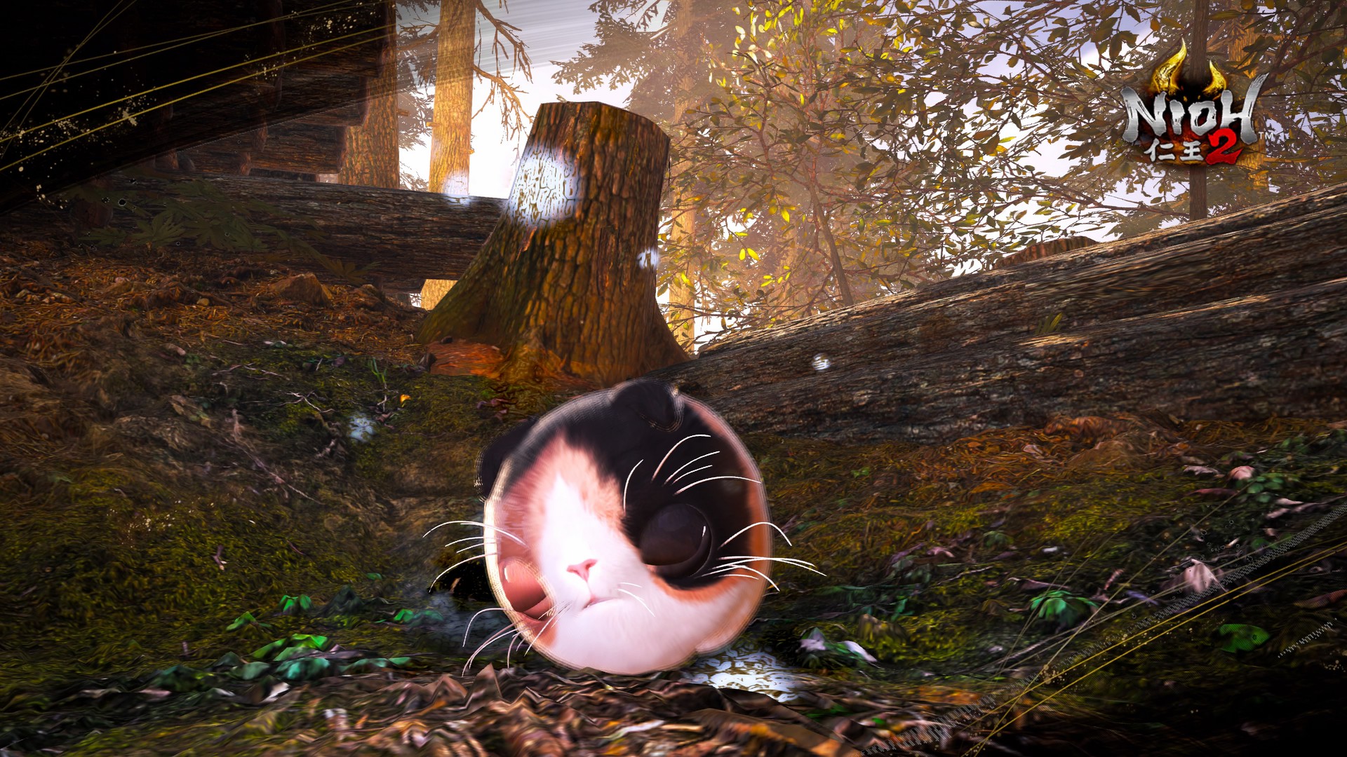 Amazon.co.jp: ゲーム 仁王2 すねこすり ぬいぐるみ 原寸大 PS5