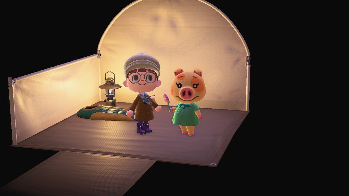 #どうぶつの森 #AnimalCrossing #ACNH #NintendoSwitch