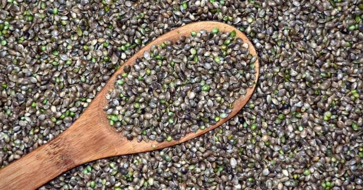HarborsideInc's tweet photo. #Hemp seeds are a superfood loaded with a high concentration of beneficial minerals and vitamins. If you are looking to add hemp seeds to your diet, you should know how to use them and why they’re beneficial.
👉 https://t.co/1XwyopAv2M @Benzinga https://t.co/s3xCgUxp4v