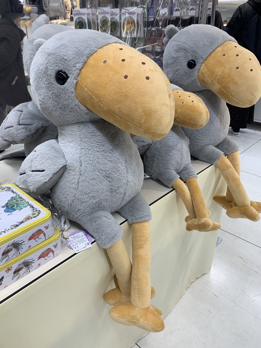 kantarow's tweet photo. 掛川花鳥園の新作「でかびろこう」
入荷しましたよー
限定商品なのでお買い求めはお早めに
東武池袋百貨店8階「ことりサミット」でお迎えお待ちしています
本日19時までの営業時間となっていまーす

#ことりサミット
#デカビロコウ
#掛川花鳥園 https://t.co/khqiNAhotH
