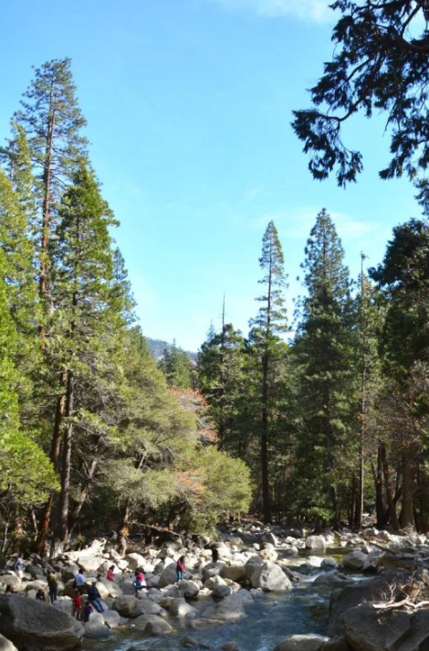 SimpleFlask's tweet photo. Life is a chain of moments of enjoyment；not only about survival.🌈

#watersport #outdoor #yosemitenationalpark #village #waterfilters #simpleflask #mountainclimbers #village #california #waterbottlelabels https://t.co/xUYnq2nmHq