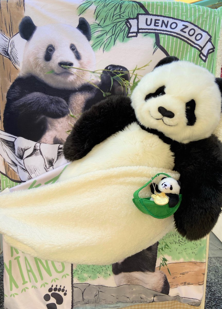 🐼ブランケットシャンシャン 2020🐼￥2200(税込) ふわふわもふもふで
