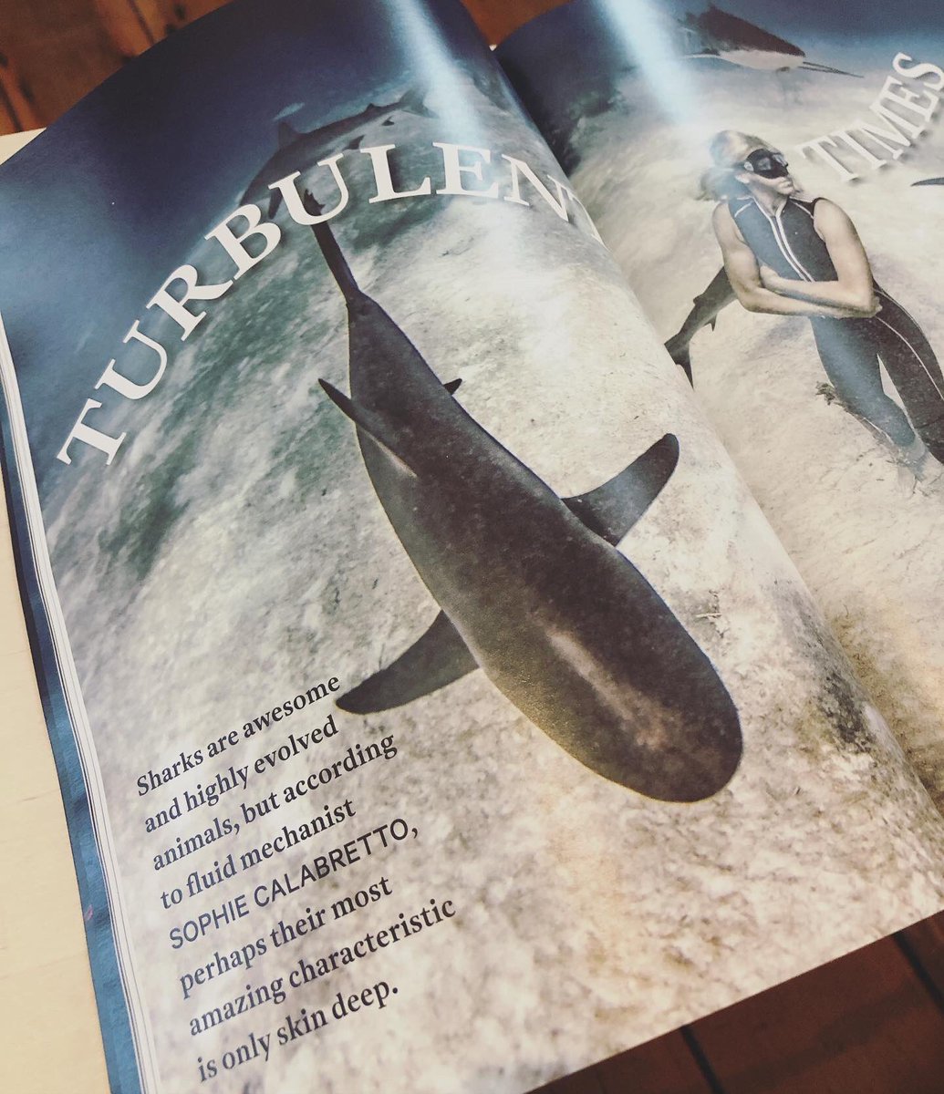 sophluidynamics's tweet photo. Very excited to get my copy of @CosmosMagazine and reread all the strange things I was allowed to write 🤩 ... 🦈 👑 🐆 #fluidmechanics #sharks #monarchsofallfish #cheetahsoftheocean #needtopretendtheleopardisacheetah #getacopytoday #andexperiencepredictionsofmyowndeath https://t.co/q82Bj31Lux