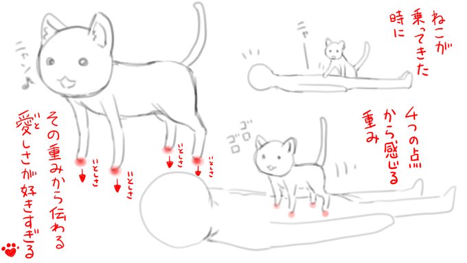 猫が上に乗ってきた時に感じる4点の重みが愛おしすぎる 