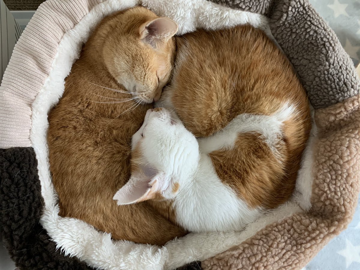 暖房いらずね🥺