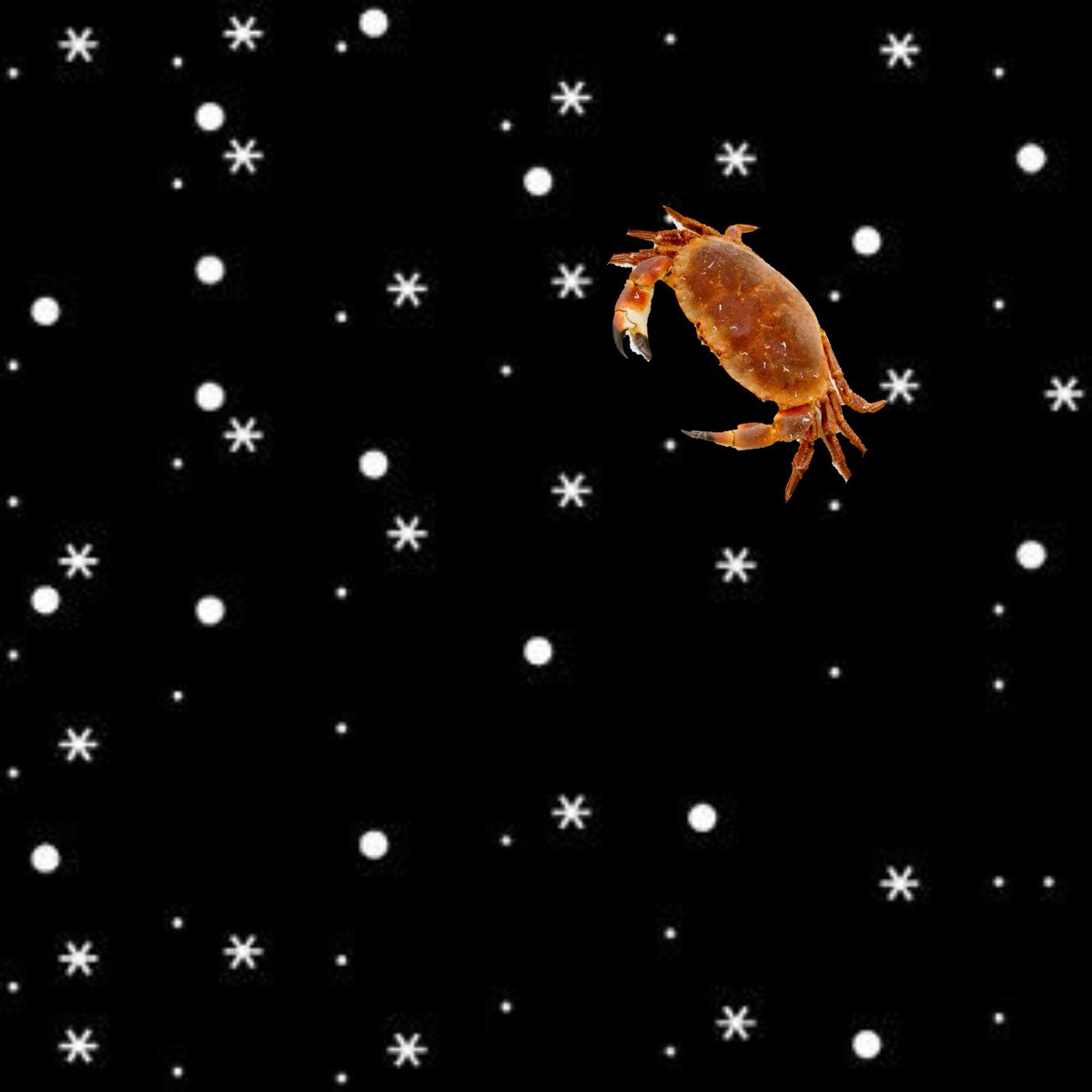 CSMFHT's tweet photo. Astrologers be like:
.  *    .      • .  .      :    .       • .  *   .     .      *    •     .  • •      .       .   *       •   .  *.      *. •      .     *       *.     .  * •.      *.    • * .    .       *.       •*.    •  .       .*   .       *.      • .     .  * https://t.co/aGGIJCrtKz