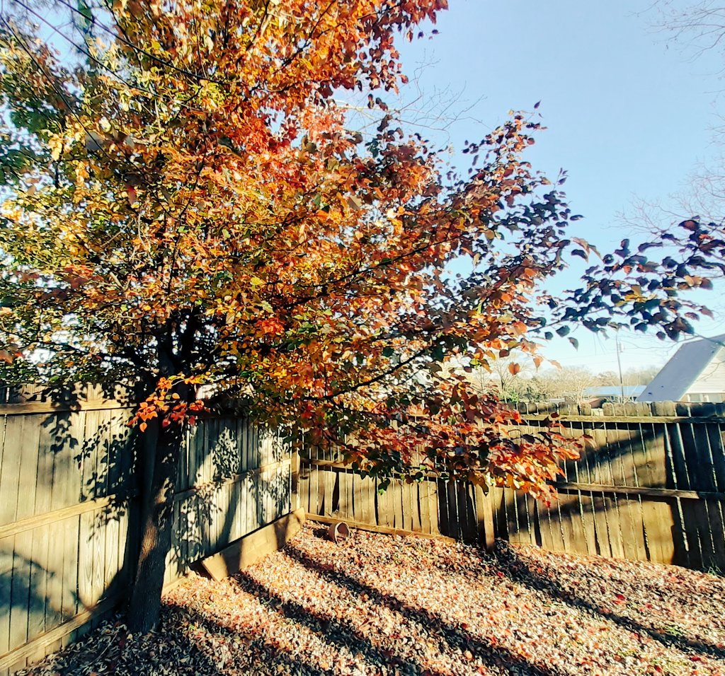 Aaronmichaelso3's tweet photo. The feeling  of winter in the air i love winter https://t.co/DaQxgLiZ1w