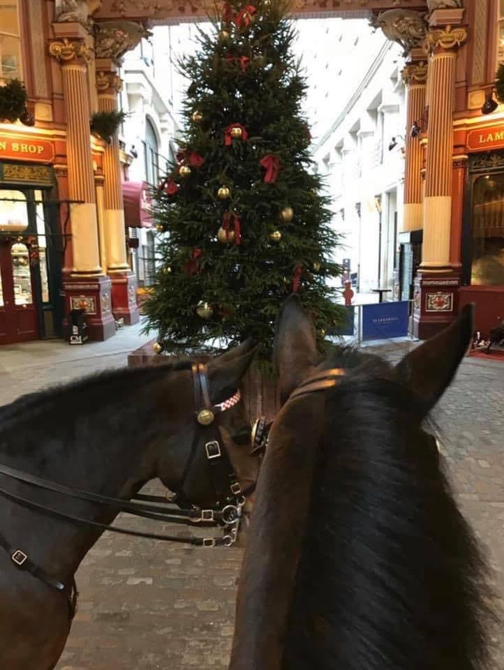 littledave72's tweet photo. #ThrowbackThursday with @CityHorses #phwellington and I #phbowron on Christmas Patrols #leadenhamhallmarket #phlittledave #phduke https://t.co/ArhUFDhDDH