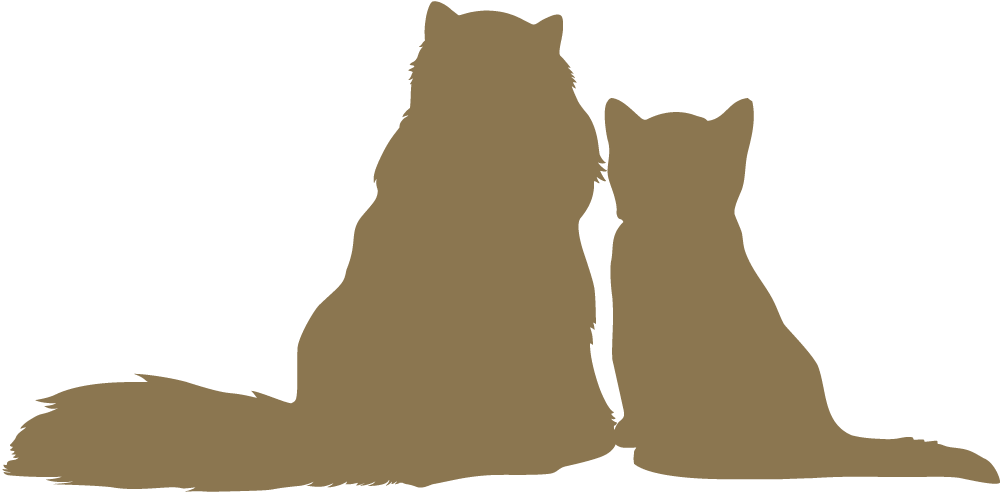 にゃっちゃん Amp かわいいちゃん猫のすがた けーごのイラスト にゃっちゃん Amp かわいいちゃん猫のすがた けーごのイラスト