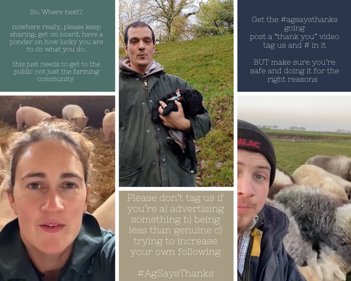 ag_says's tweet photo. So the old video thing is up to 50,000 engagements 😂 Next we ask our farming types to get on board, do your thank you, keep it simple “thank you” tag @ag_says use the #agsaysthanks and we’ll share etc BUT please see the picture, we feel very strongly about it being simple https://t.co/bPSiUqSmGe