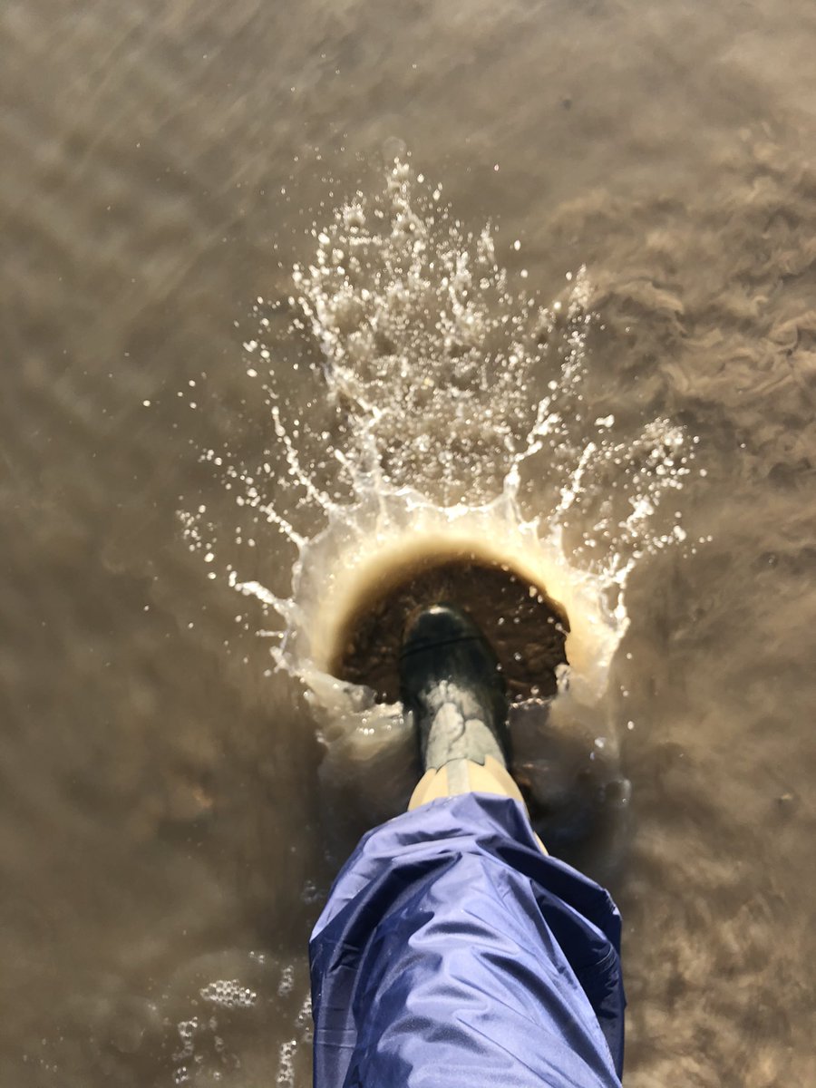 Hope you’re all putting your best foot forward today. Absolutely stunning weather in South Cambs on this beautiful Thursday morning #muddy #adventure follow me on Instagram <a href="/lilfordsquire/">Lilford_Squire</a>