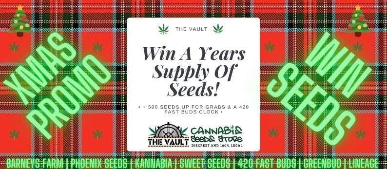 The_Vault_Seeds's tweet photo. 🎅 Merry SeedMass Promo
🎅 *WIN a Years Supply of Seeds*
🎅 +14 Prizes with over 500 Seeds Up For Grabs
🎅 420 Clock As a Unique Prize
🎅 Xmas Discount
🎅 Closes Early January
🎅 Goodies and Merch
🎅 Enter on The Blog...

https://t.co/MG4gvPWC7v 

#MerrySeedMass #TeamVault https://t.co/4KLQJ28B8e