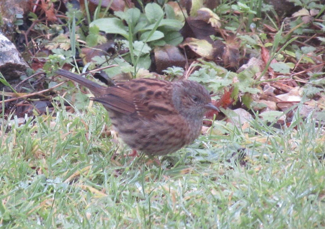 PB (@ptbbot) / Posts / X