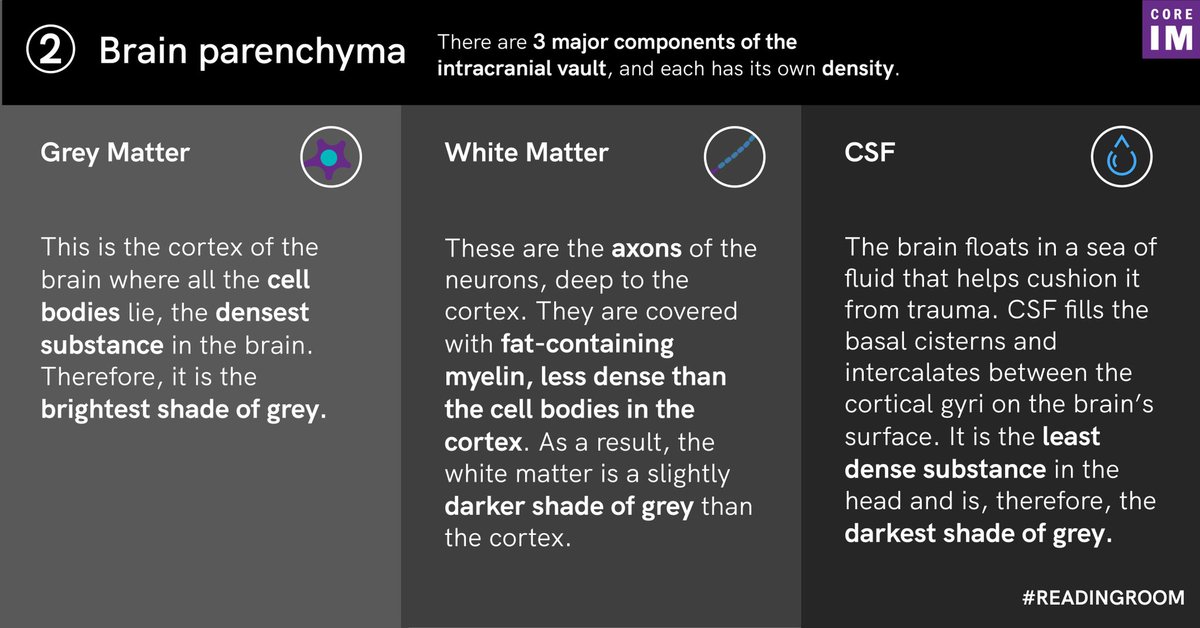 COREIMpodcast's tweet photo. 2/ After we’ve evaluated the scalp and skull, we dive into the brain. We’re looking for symmetrical presence of grey matter, white matter and CSF. https://t.co/u1qI6vQuMv