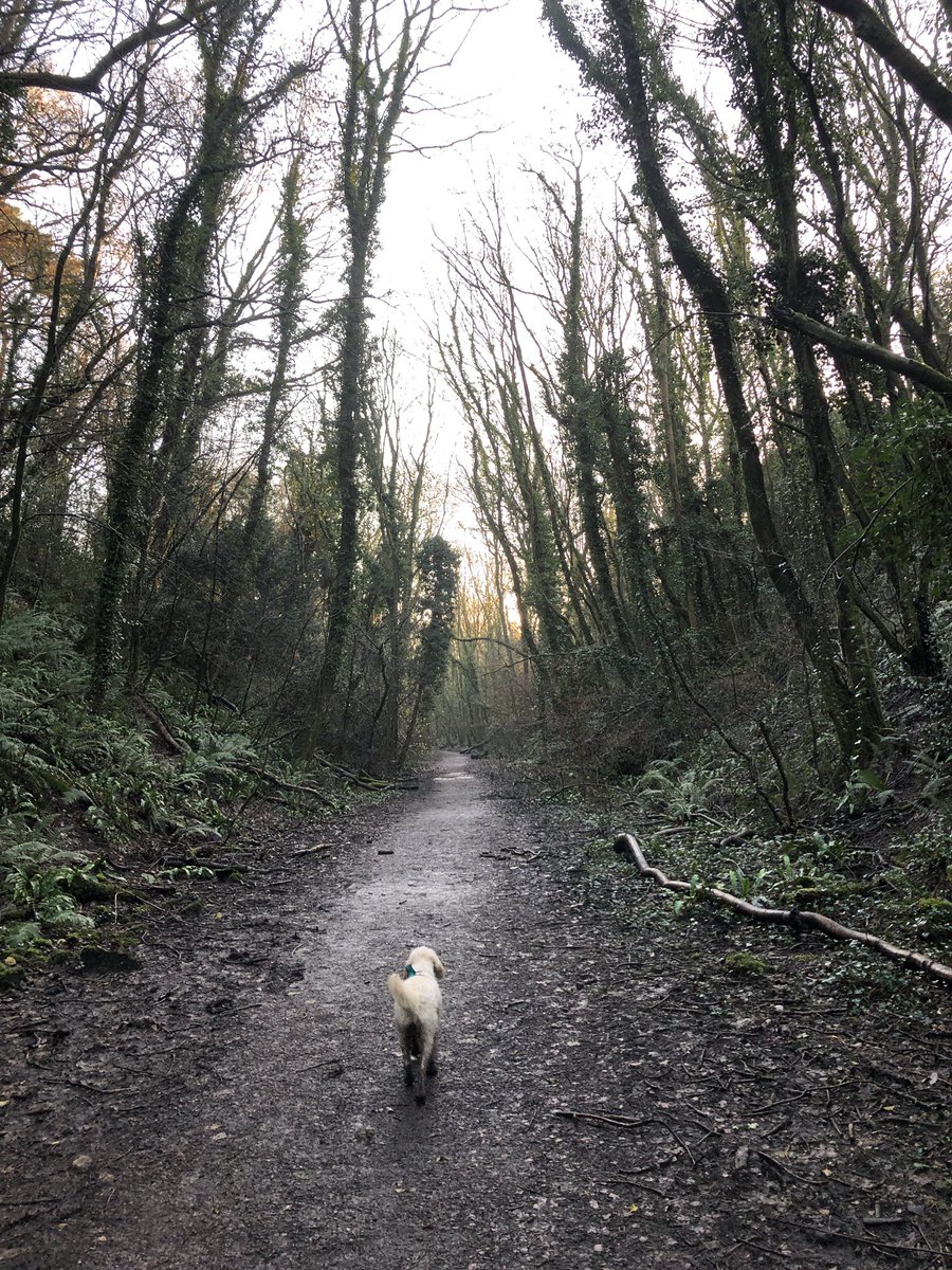 Because now, no one seems to be able to tell us what exactly this development is. We just know there’s going to be two bridges to a nice big piece of open land. This beautiful space is being destroyed. For what?