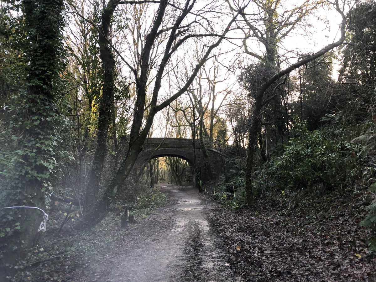 We won’t stand down. Together, we can save the northern meadows. We’ll get in touch with more info on how you can help later, but for now i hope you’ve enjoyed these pictures of the meadow and railway cutting from this morning 