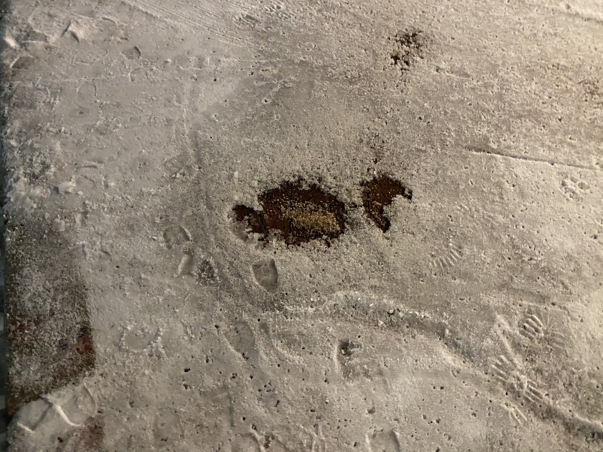 Erin_Mac16's tweet photo. Update: They put salt on the sidewalk after shoveling and it’s working! #byebyeice #GMM2 https://t.co/BmjWVO9bmu