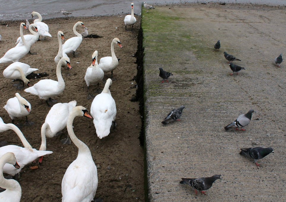 Archillect (@archillect) on Twitter photo 