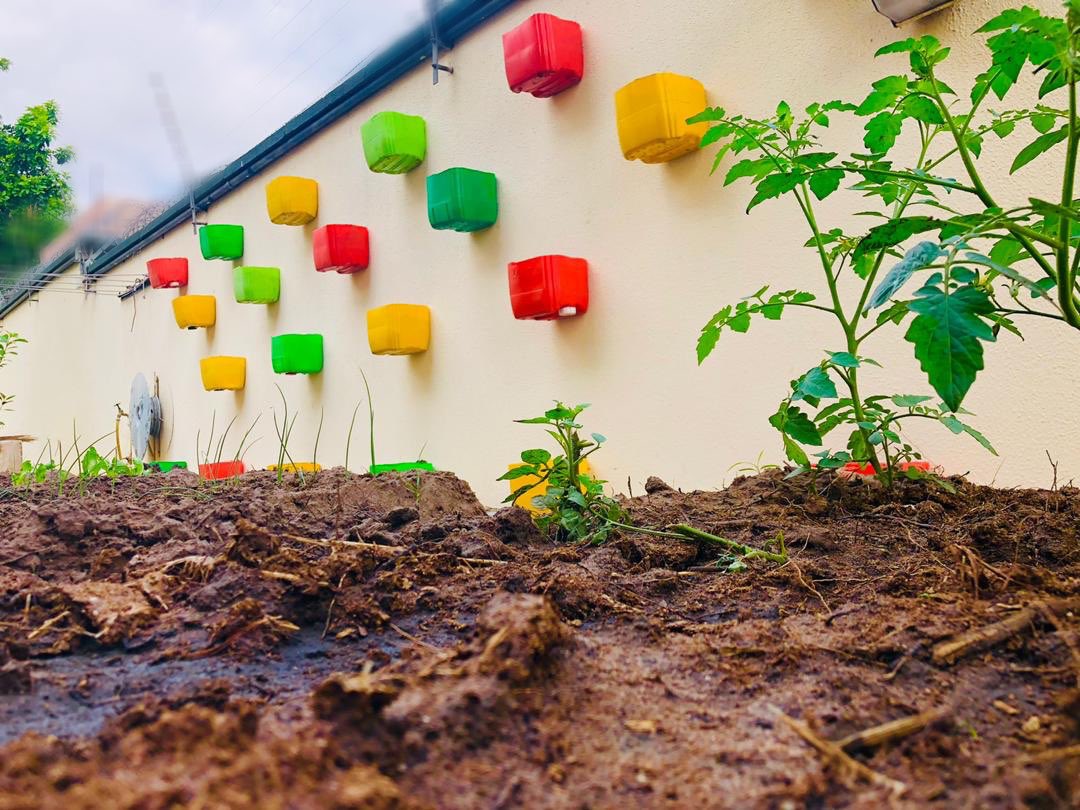 AusAmbGHA's tweet photo. Project complete! The Australian High Commission now has a recycled #Kuffuor Gallon vertical garden thanks to @AwukuMakafui and his @MckingtorchAfri volunteers. The baby tomatoes and other delicious veggies are being planted now. @UNDPGhana @PlasticPunchGH https://t.co/m6I4rLEfOb