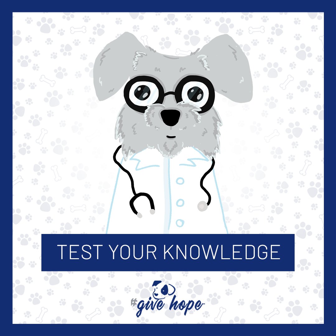 ROLDAOrg's tweet photo. Take 2️⃣minutes to test your knowledge. Can you identify the symptoms of serious diseases in dogs?
👉Check here: https://t.co/TWbwLdaqHr
#roldadogs #givehope #mutt #quiz #rspca #animalaid #romania #ngo #dogsXMAS #testknowledge #dogexpert https://t.co/gmXHeWbkSz