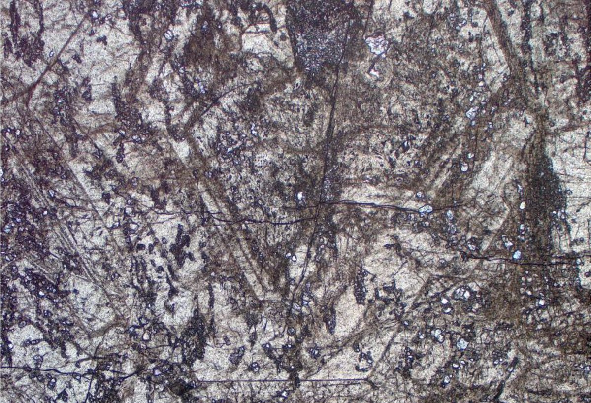 BurischMathias's tweet photo. Anisotropic grandite garnet related to the Globenstein #tungsten-#skarn, #Erzgebirge, 🇩🇪. FOV ~4mm. #ThinSectionThursday 
Want to learn more about the PhD project behind?
👇
https://t.co/IeO1AIHTFB https://t.co/WvBRnYjvJy