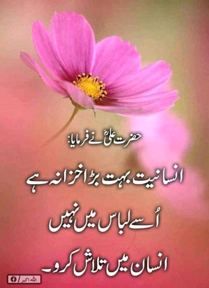 Muhammad Sarfraz tweet media