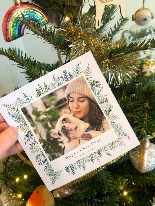 Amy_M_x's tweet photo. @thismorning Here is my doggy Happy and our Christmas card :) https://t.co/rAYHkzGOWM