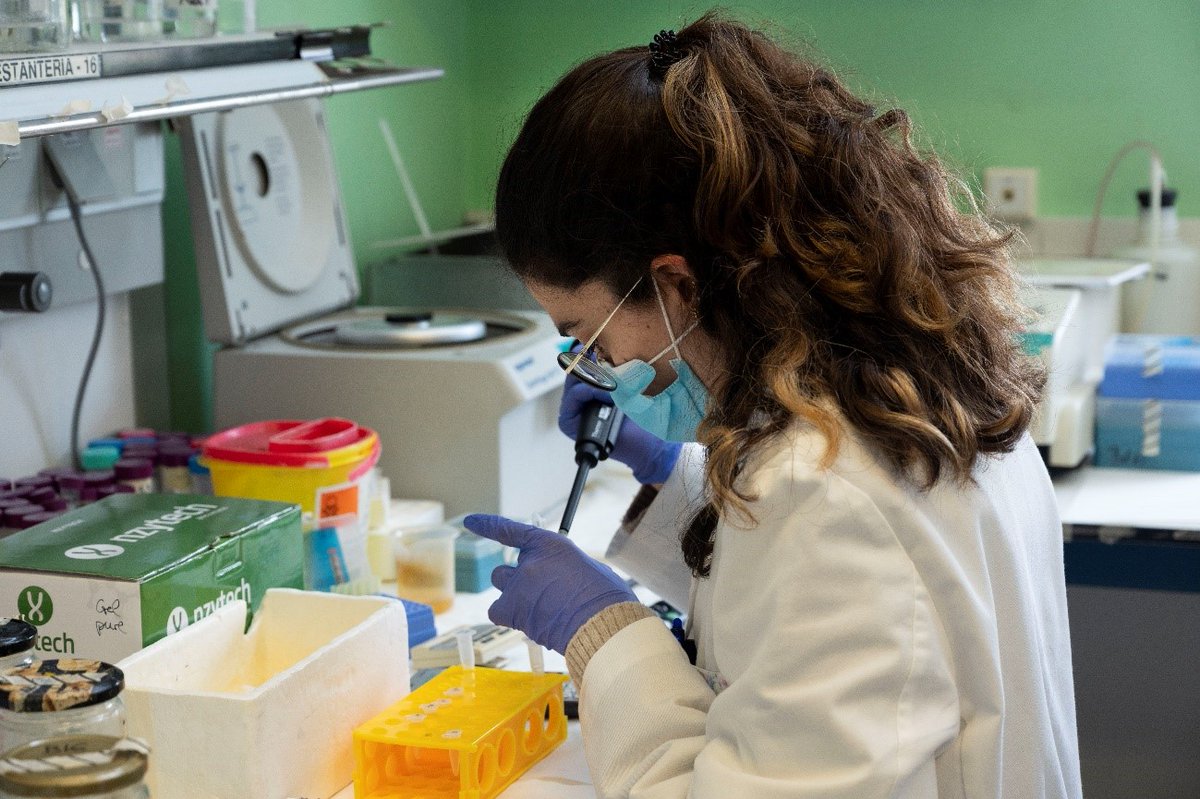 Llega al mercado el test de anticuerpos de covid-19 del CSIC con una fiabilidad de casi el 100%. 
biqfr.blogspot.com/2020/12/llega-…